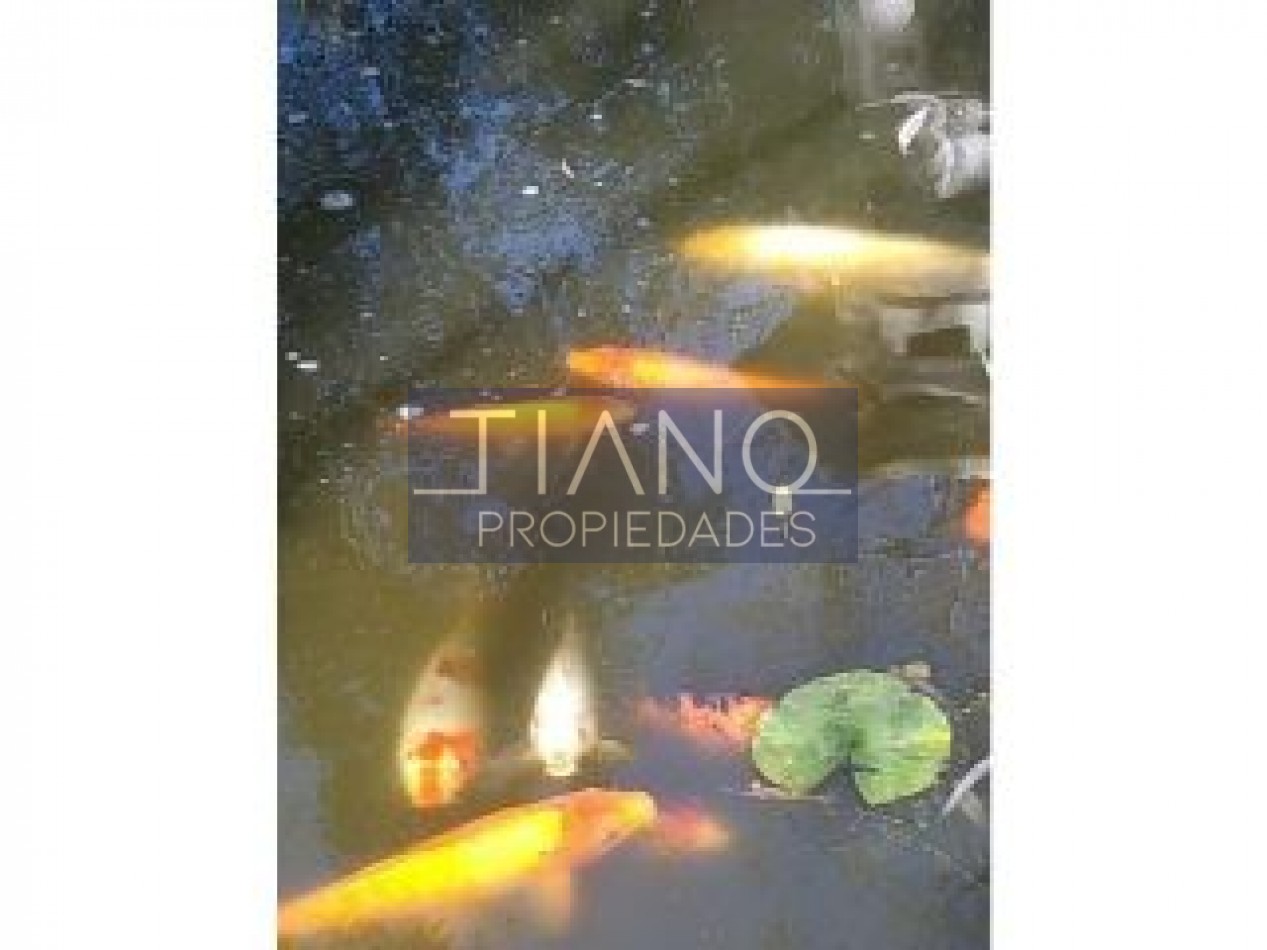 Casaquinta - Relax Total - Eventos De Dia- SALON DE FIESTA